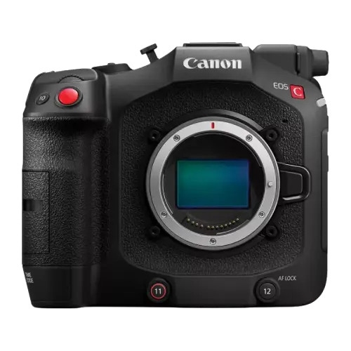  Ремонт Canon EOS C80